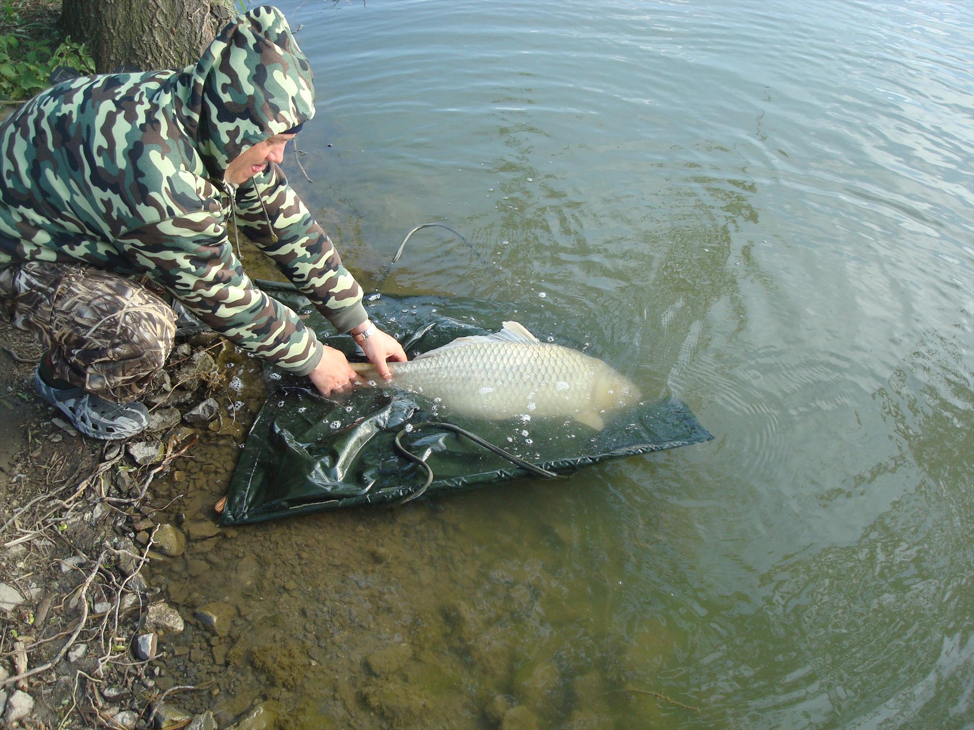 pescuit pe o balta superba - dsc07545.JPG